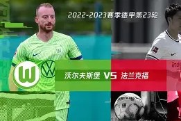 金年会官方入口-沃尔夫斯堡连胜后止步，球队需继续努力的简单介绍